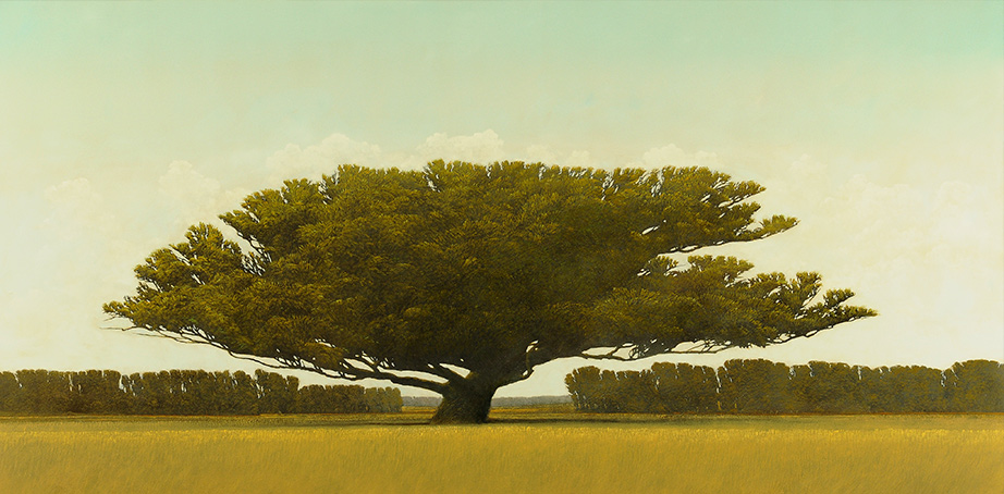 ROBERT MARCHESSAULT Albero di massima Oil on panel